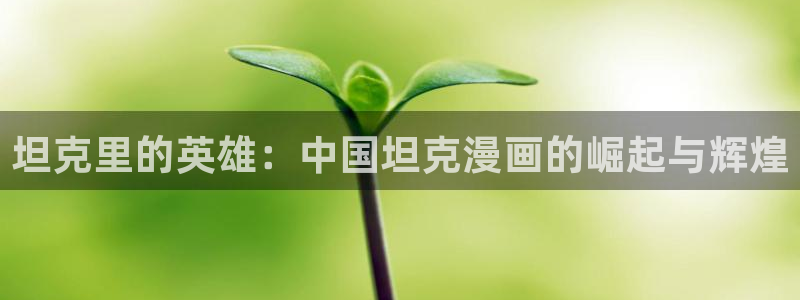 哔咔漫画下载后怎么看