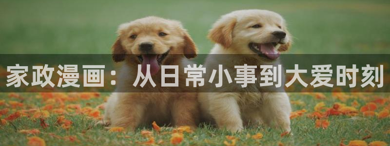 哔咔漫画隐藏入口