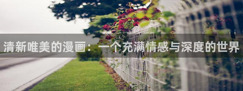 哔咔漫画下载
