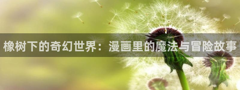 哔咔漫画 app下载