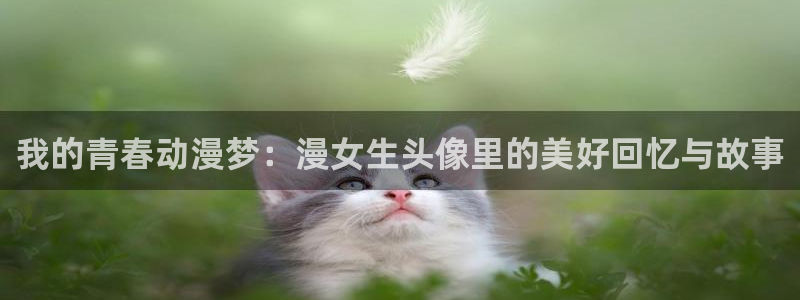 哔咔漫画中文版