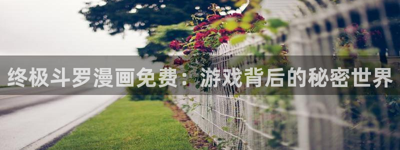 哔咔漫画电脑网页版