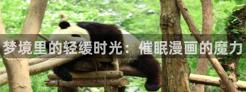 哔哔咔漫画官网入口