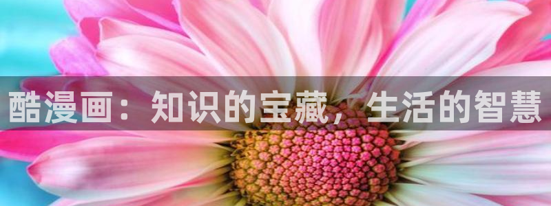 哇哔咔漫画