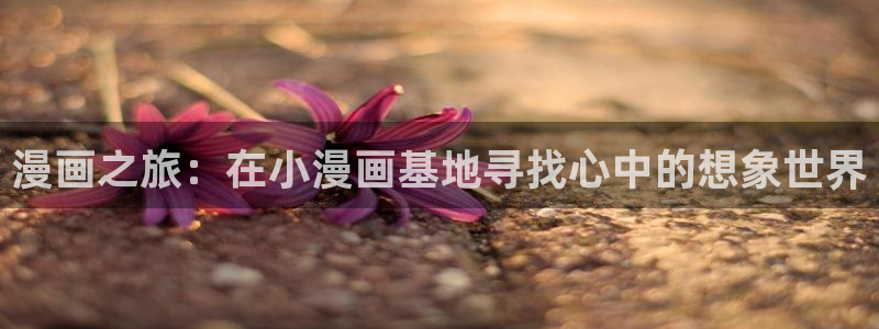 哔咔漫画网站进入